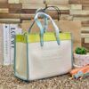 Coach Field Tote Bag With OG Double Box & Dust Bag & Shoulder Strap (Multi-975)