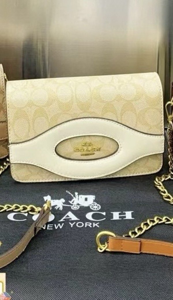 COACH slingbag with box and dust bag 170(BR)