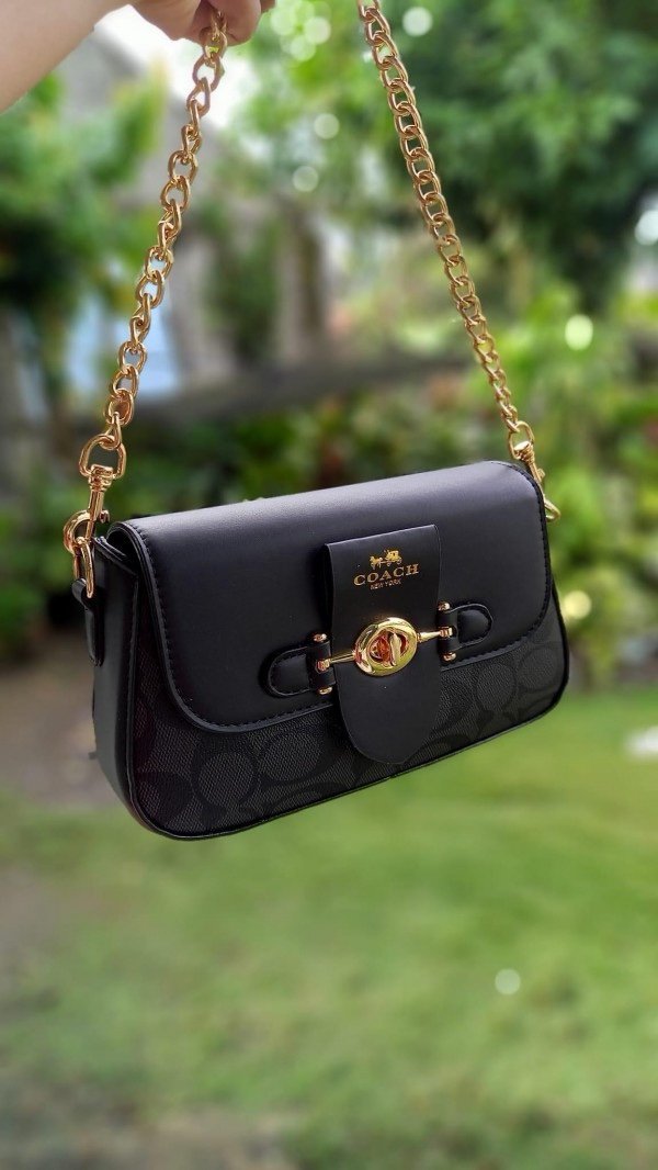 Coach -siling-bag-with-og-magnetic-box-bill 155(BR)