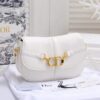 DIOR cd besace bag 145(BR)