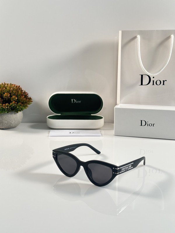 Dior_B20_Black Sunglasses