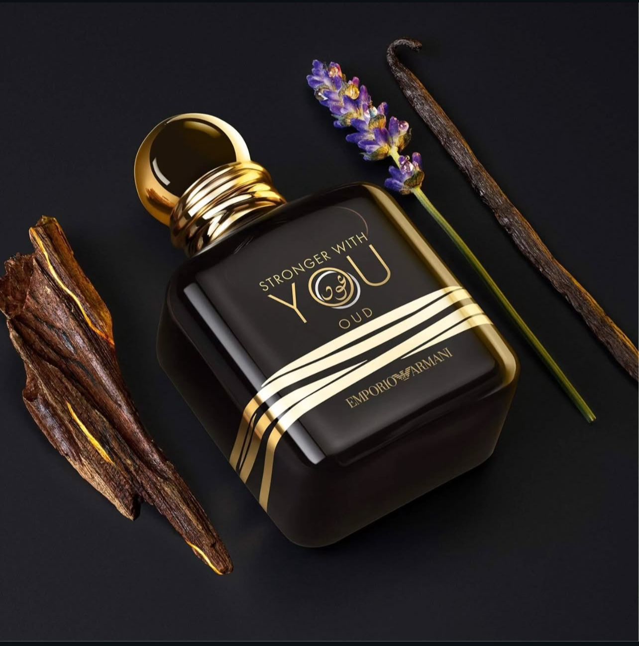 EMP ARMN STRONGER WITH YOU OUD PERFUME [100 ML] 2910025