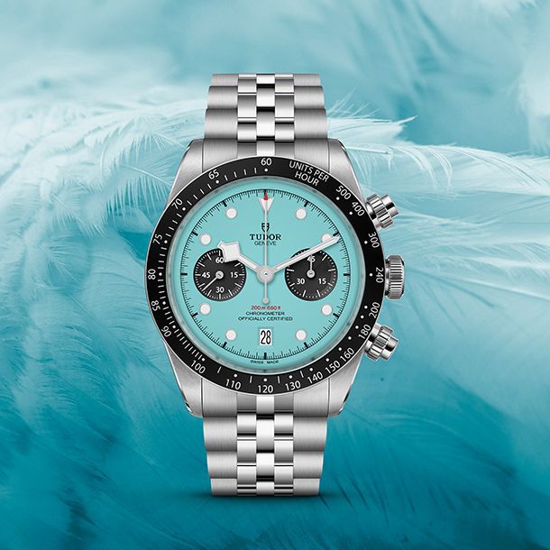 TDR GENEVE [SEA GREEN / BLACK / SILVER] 0104026