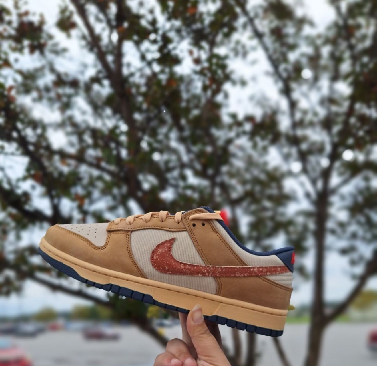 Nikkee Dunk Low Retro SE Wheat Sanddrift fixed