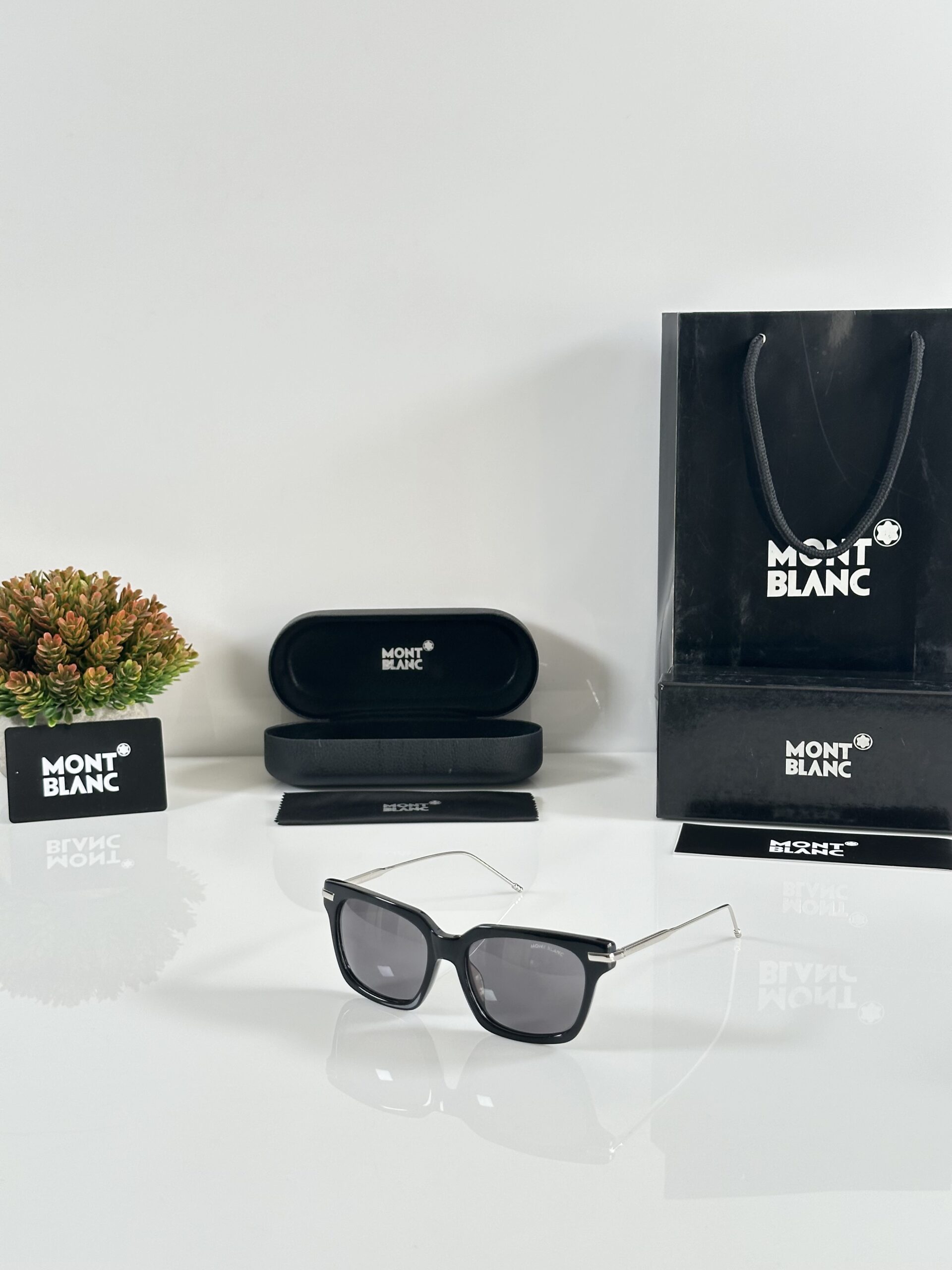 Mont Blanc 2501 Silver Black