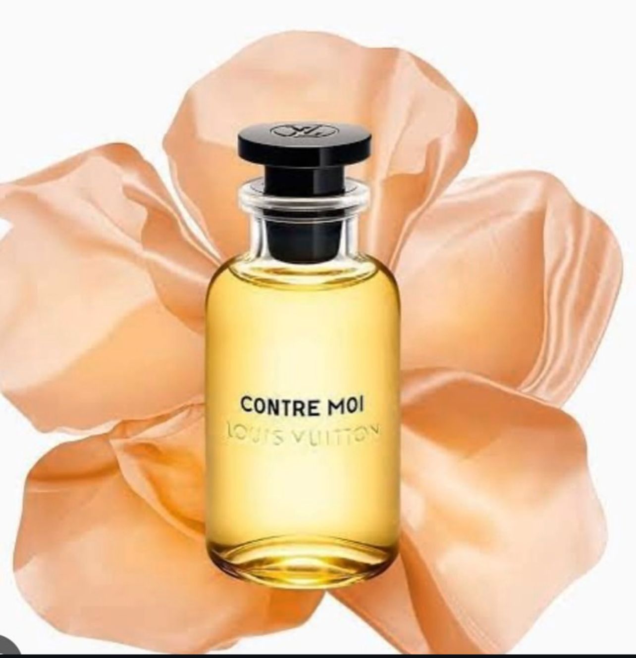 LOUI_S VUITTO_N CONTRE MOI