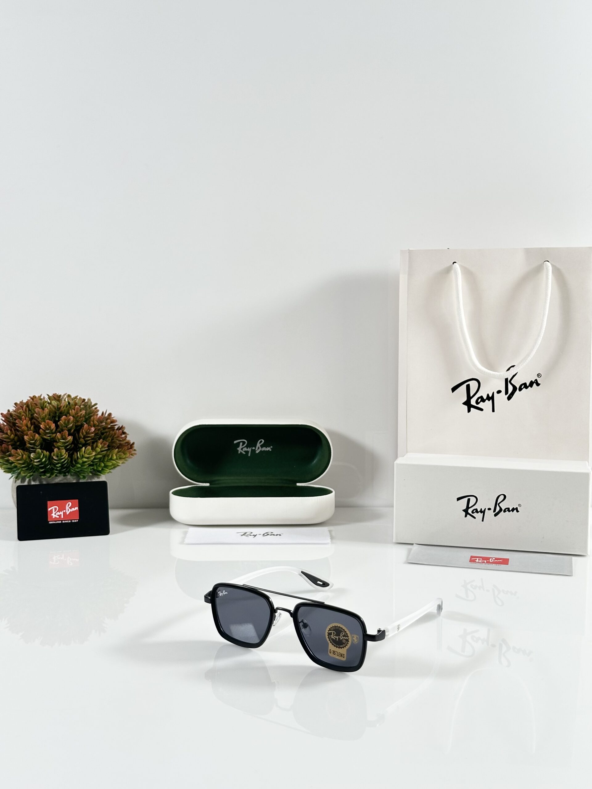 Rayban 06 Black Ice Stick