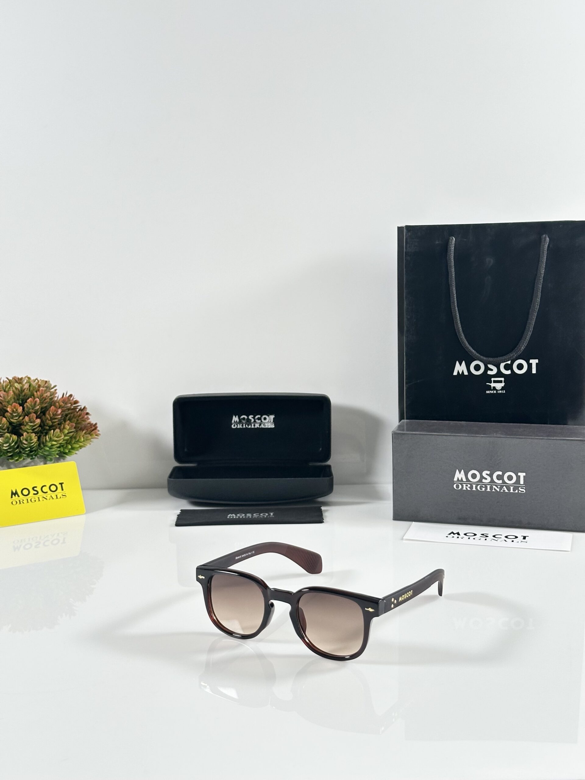 Moscot 120 Brown