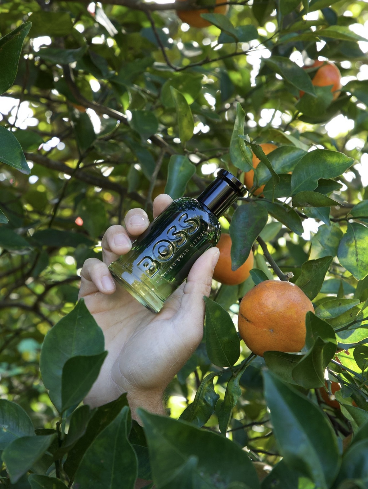 HUGO BOO_S bottled vold citrus