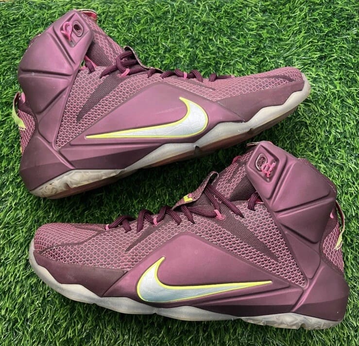 Nik LeBron 12 double helix