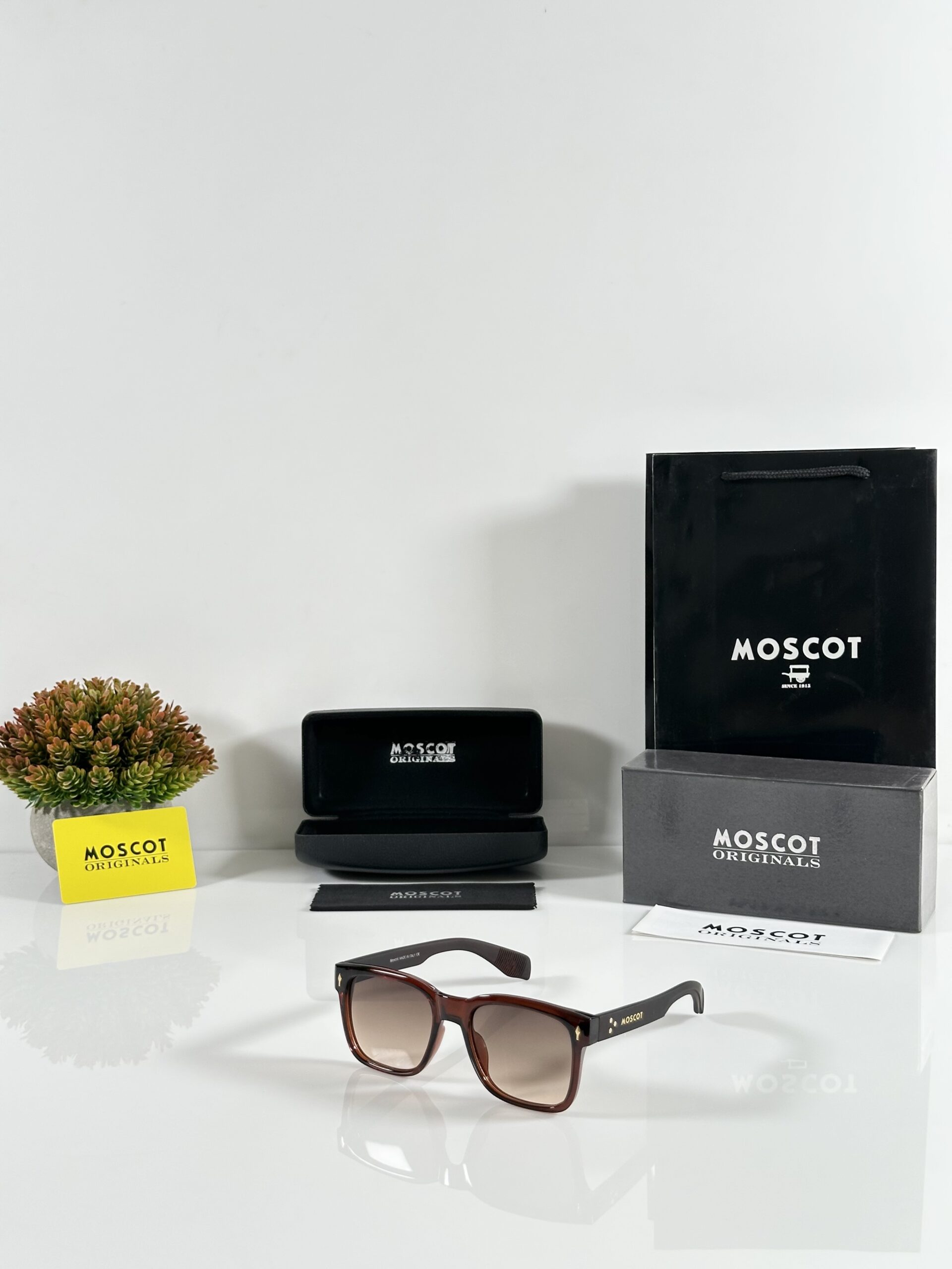 Moscot 130 Brown