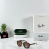 Rayban 4602 Brown
