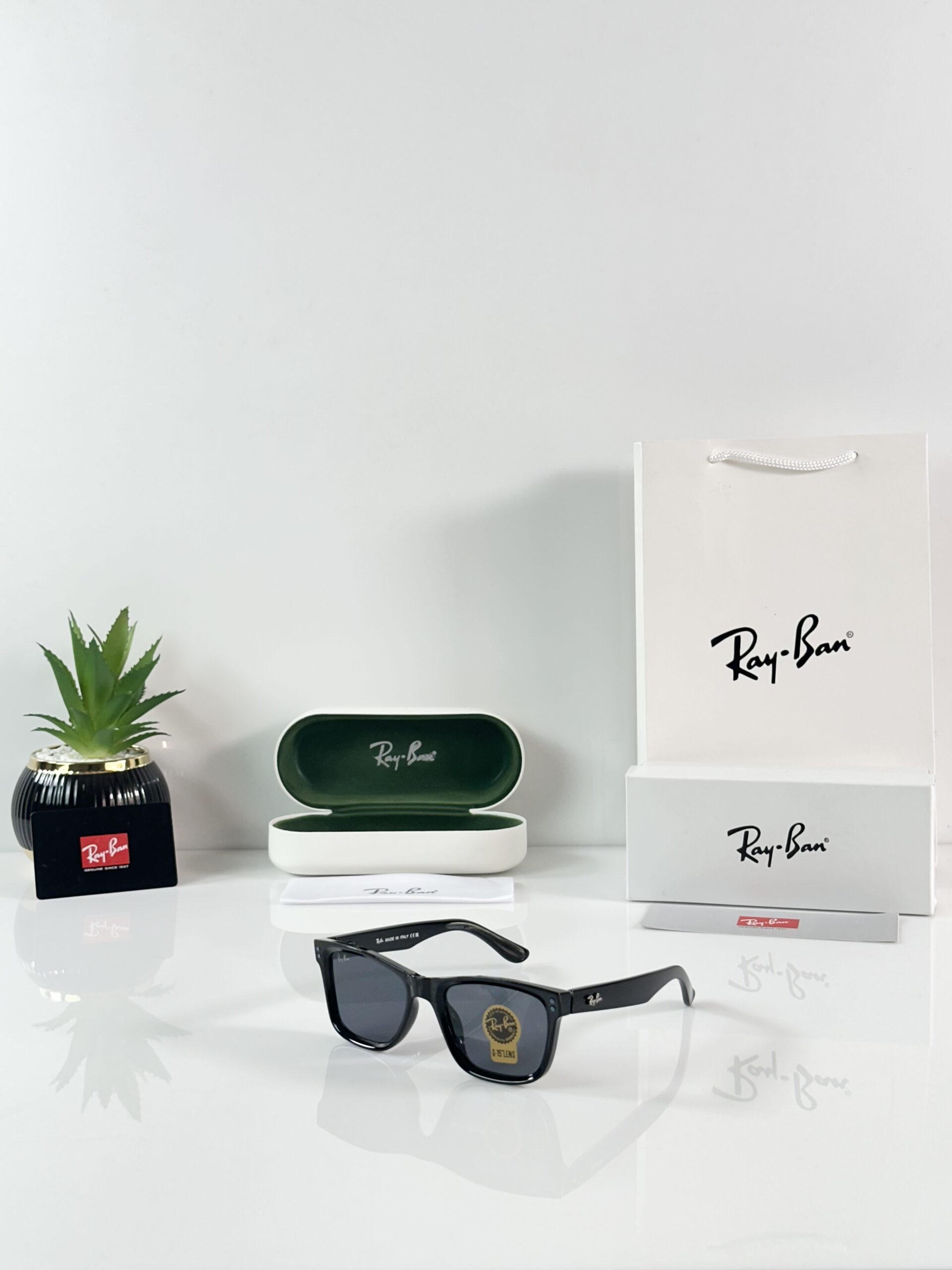 Rayban Reverse 0502 Shine Black