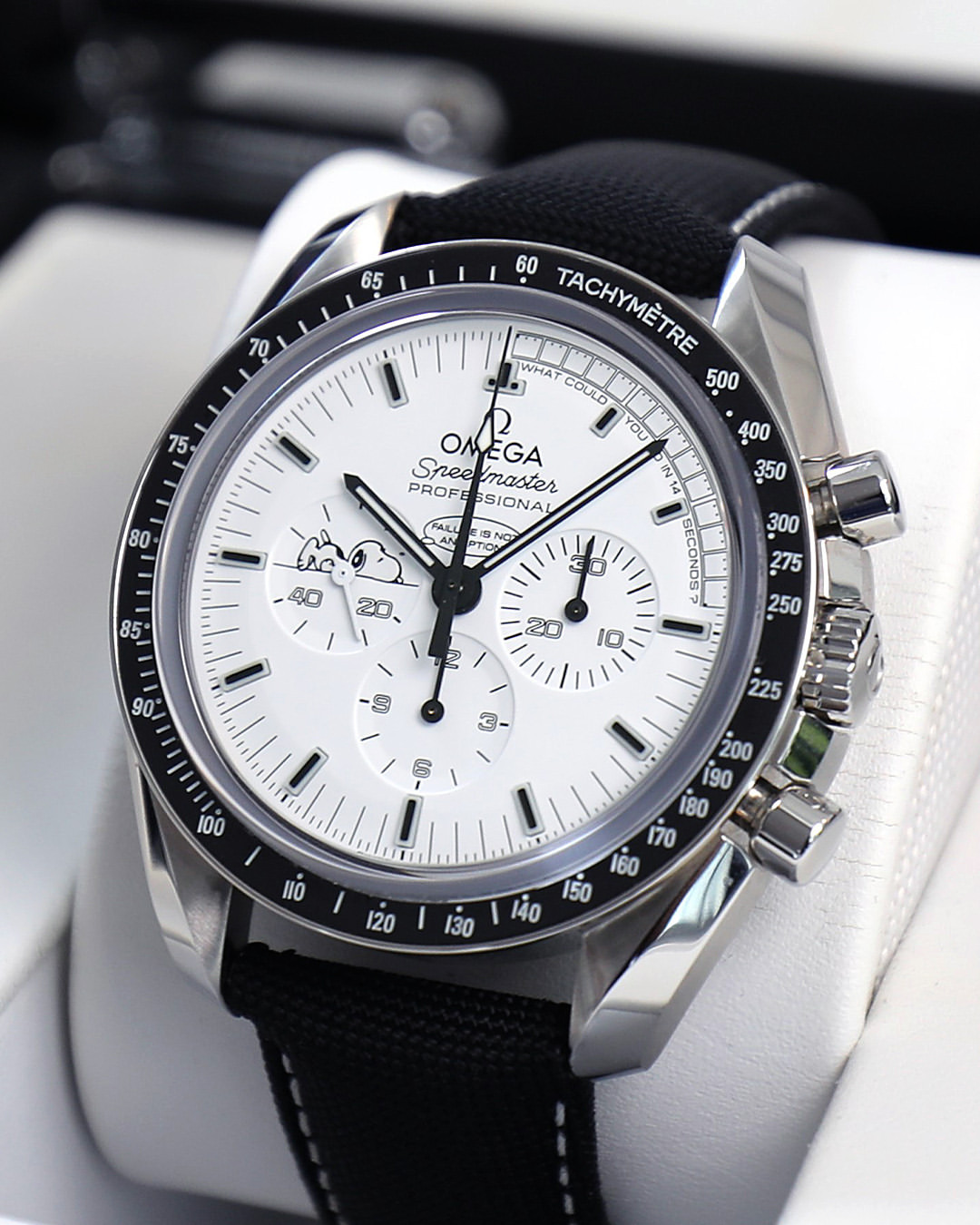 Omeg_a Speedmaster Professional Moonwatch